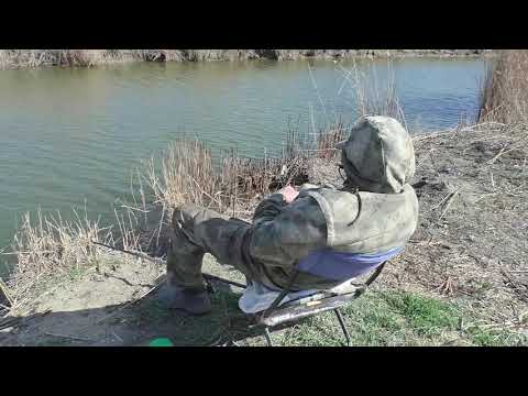 Видео: Рыбалка на каналах в Темрюке