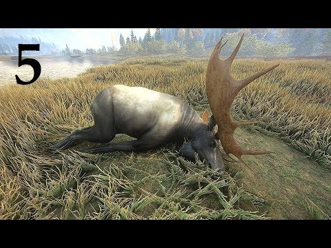 Видео: TheHunter Call of the Wild На ОХОТУ # 5