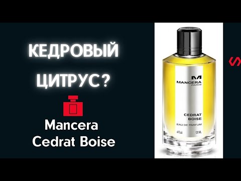 Видео: Мансера Cedrat Boise. Обзор на природе