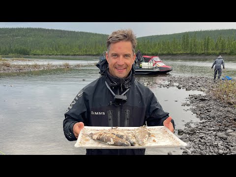 Видео: Все Серии Про Экспедицию в Тайгу: Дикая Природа, Медведь-Людоед, Жизнь в Палатках и Походная Кухня