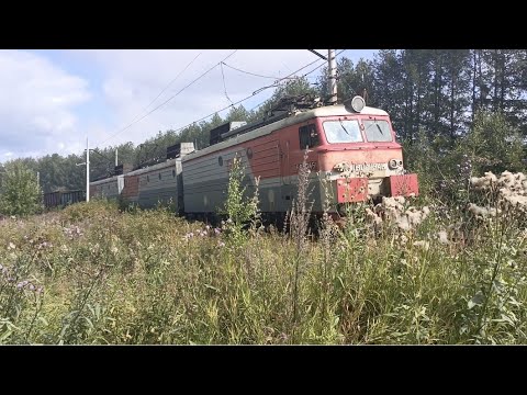 Видео: ВЛ11-134Б/280А/134А С грузовым составом