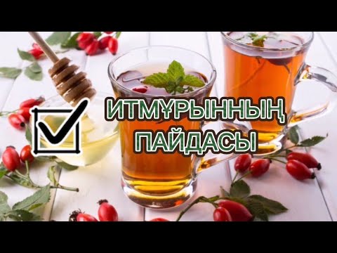 Видео: ИТМҰРЫН. ИТМҰРЫННЫҢ ПАЙДАСЫ. ИТМҰРЫННЫҢ ЕМДІК ҚАСИЕТІ.