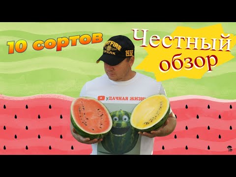 Видео: Обзор сортов арбузов 2022 г
