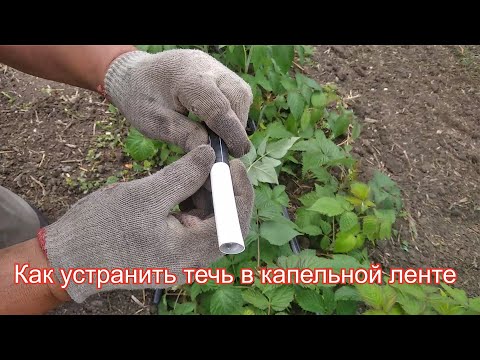 Видео: Ремонт капельной ленты