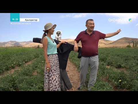 Видео: «АУЫЛДАСТАР». Түркістан облысы, Түлкібас ауданы, Құлан ауылы. 2-бөлім