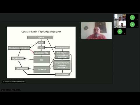 Видео: Поддерживающая терапия в онкологии (вебинар 31 мая 2023)