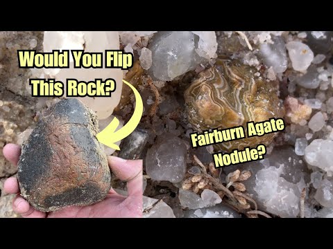 Видео: Снова на мели, в поисках агатов Фэрберна!