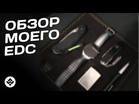 Видео: EDC Check 2024 | Что я ношу с собой каждый день?