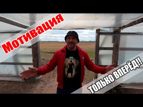 Видео: Самая красивая рассада!!! Такое увидите только у нас!! Мотивация для молодёжи!