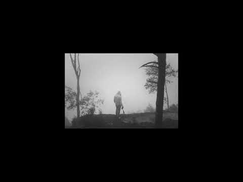 Видео: Андрей Губин - Мальчик-бродяга (slowed + reverb)