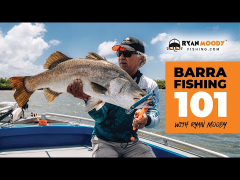 Видео: Лучшее время года для ловли баррамунди