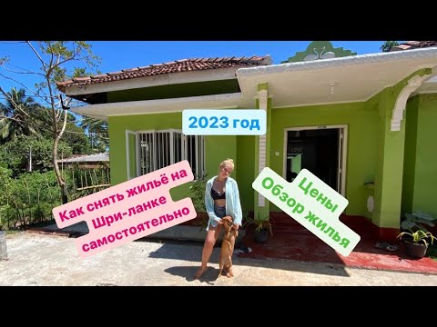 Видео: Как снять жильё на Шри-Ланке 2023год