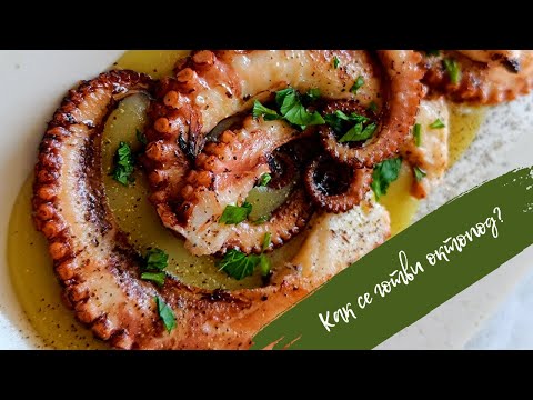 Видео: ОКТОПОД на тиган с гарнитура от картофен крем