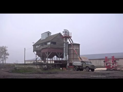 Видео: Курск. Зерносушилка АТМ-34С. Стационарная зерносушилка. Отзыв КФХ Мерзликин В.С. Сушка кукурузы