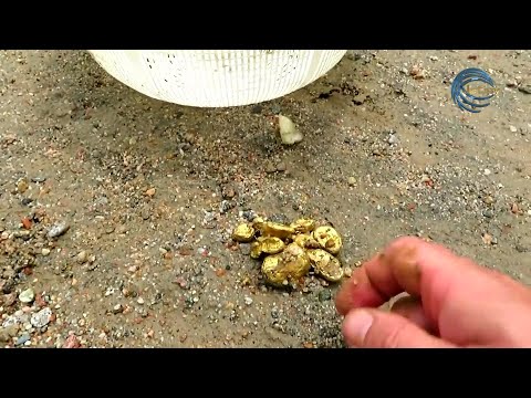 Видео: ӨЗЕНДЕРДЕ АЛТЫН БАР ЕКЕН. АЛМАТЫ ОБЛЫСЫНЫҢ ҚАЗБА БАЙЛЫҚТАРЫ / ҚАСИЕТТІ ҚОНАЕВ / 04.07.22