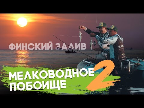 Видео: МЕЛКОВОДНОЕ ПОБОИЩЕ 2