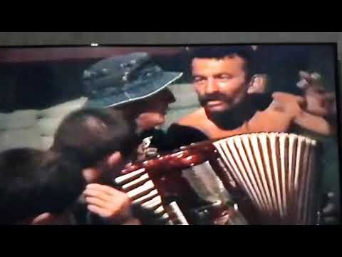 Видео: 17 апреля 2025 г.