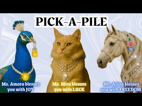 Видео: ⊹ 🦚 Ваше следующее СИЯНИЕ!! 🦚 ⊹ Гадание на картах Таро с выбором карты🪄🪄🪄