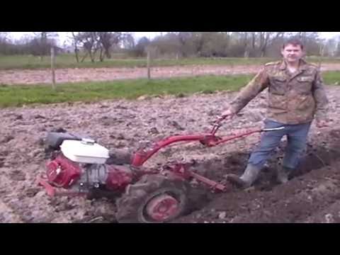 Видео: Посадка картофеля мотоблоком МТЗ с помощью окучников