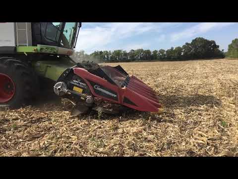 Видео: CLAAS Lexion 760 збирання кукурудзи _ відео у повільненому режимі