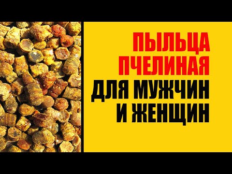 Видео: Как отличить подделку пчелиной пыльцы? Важные советы!