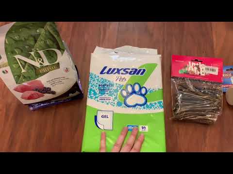 Видео: Покупки из зоомагазина // Покупки из Дог Бутика
