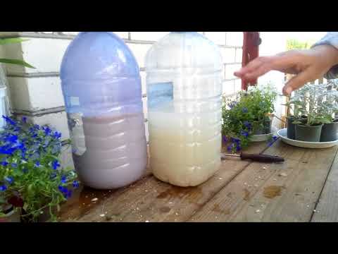 Видео: "ЕМ- препарати" виготовляємо самі.  ОРГАНІЧНІ ПІДЖИВЛЕННЯ ДЛЯ ЗДОРОВОГО УРОЖАЮ.