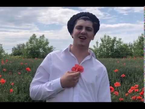 Видео: Попурри на песни композитора Григория Пономаренко