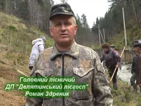 Видео: посадка Микуличин Поляниця