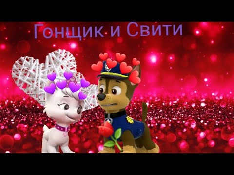 Видео: Чейз и Свити