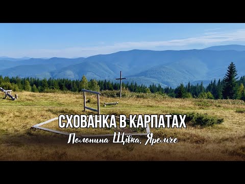 Видео: Яремче. Схованка в Карпатах — Полонина Щівка 🌲