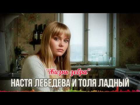 Видео: 🎵 ЧЁРНАЯ И БЕЛАЯ 🖤🤍 — Настя Лебедева & Толя Ладный "Жизнь зебра"