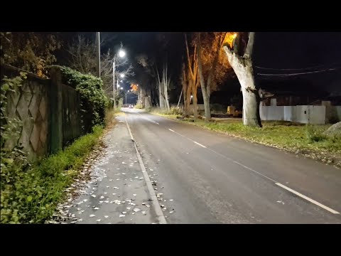 Видео: Страдание и безделье в чуждом городе