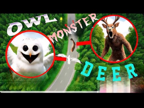 Видео: DEER MONSTER Пожиратель vs OWL MONSTER 99 Nights в реальной жизни