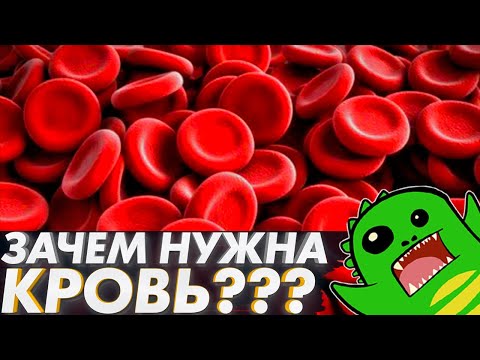 Видео: Зачем нужна КРОВЕНОСНАЯ СИСТЕМА? | ВВЕДЕНИЕ | Кровь | Целом | Мезодерма