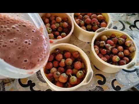 Видео: Весна, лето, осень. Золотой луг.