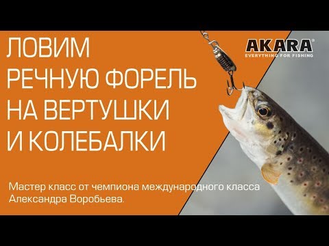 Видео: Ловим речную форель на вертушки и колебалки