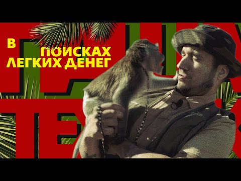 Видео: Техник: В поисках легких денег #7 Работник зоопарка