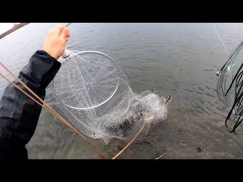 Видео: Закрытие сезона 2025 !!! Было круто! Рыбалка кастинговой сеткой состоялась на все 💯 😁😁😁😁👍🔥🔥🔥🔥🔥🔥🔥🔥🔥🔥🔥