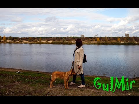 Видео: Неожиданная Беларусь - "Мы на Припяти, недалеко от Чернобыля  -  город Мозырь."  by FlexiblePower.ru