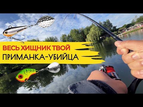 Видео: ПРИМАНКА №1 ЛЕТОМ - ЛОВЛЯ ХИЩНИКА НА ТЕЙЛ-СПИННЕРЫ. СЕКРЕТЫ ЛОВЛИ