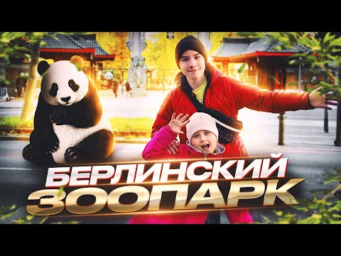 Видео: Берлинский зоопарк День 2