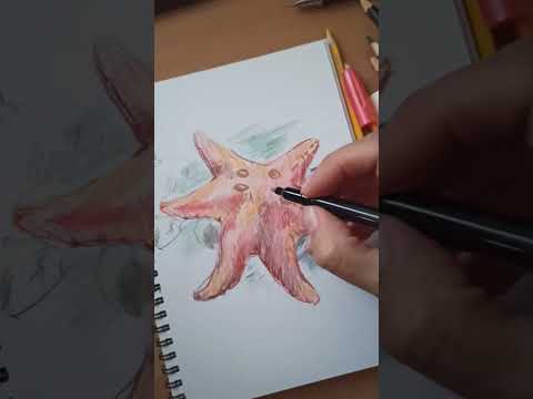 Видео: Рисую и болтаю. Медуза цв.карандашами