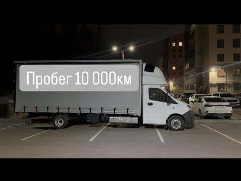 Видео: 5 ноября 2025 г.