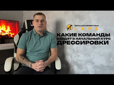 Видео: Ответы на вопросы по курсу НКД - начальному курсу дрессировки