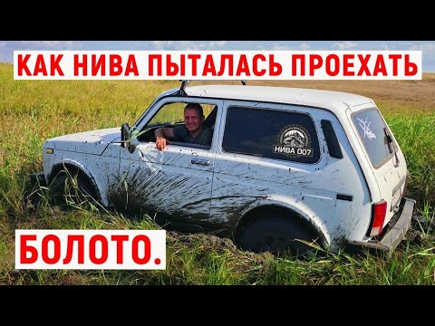 Видео: КАК НИВА ПЫТАЛАСЬ ПРОЕХАТЬ БОЛОТО.