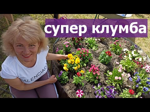 Видео: Самая красивая  клумба. Самый красивый цветник на даче.