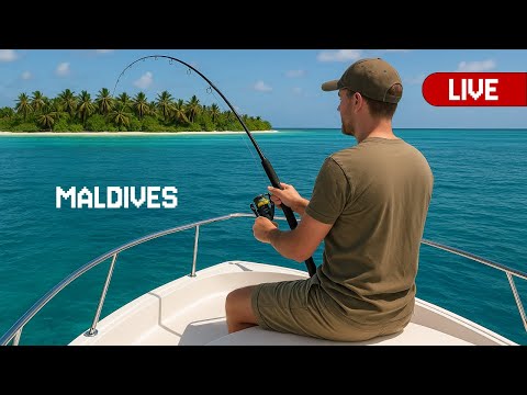 Видео: Фарм на Мальдівах. Fishing Planet