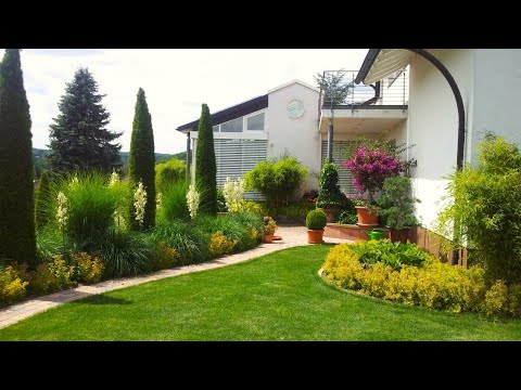 Видео: Лучшие идеи и примеры для вашего сада / The best ideas and examples for your garden