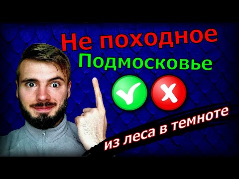 Видео: Одиночный поход в лес или детский поход по Подмосковью